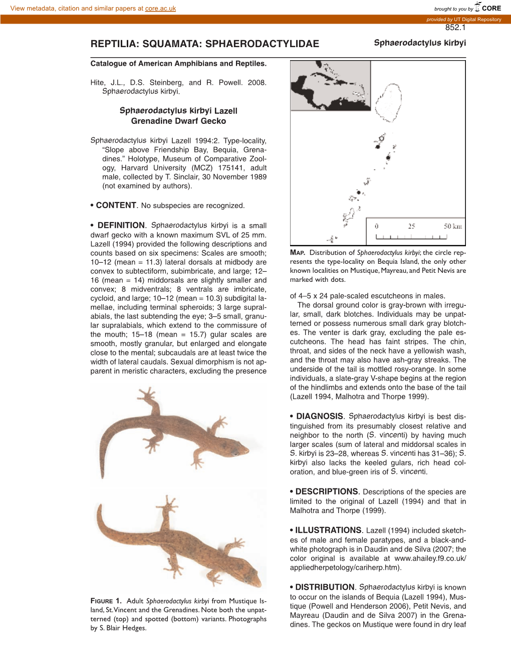 SQUAMATA: SPHAERODACTYLIDAE Sphaerodactylus Kirbyi