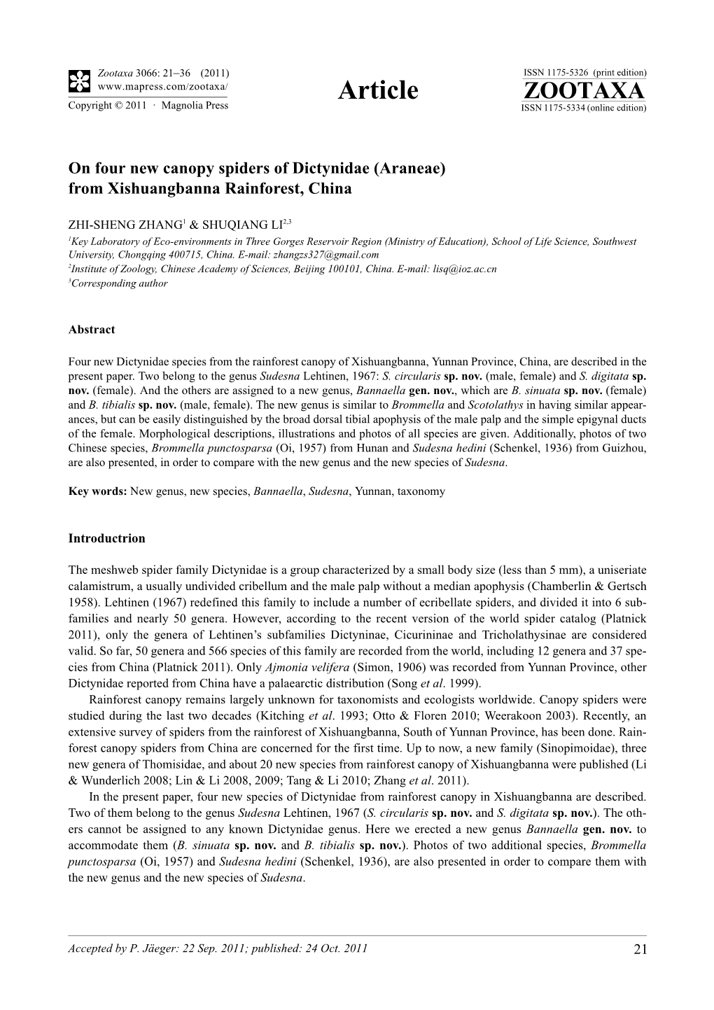 On Four New Canopy Spiders of Dictynidae (Araneae) from Xishuangbanna Rainforest, China