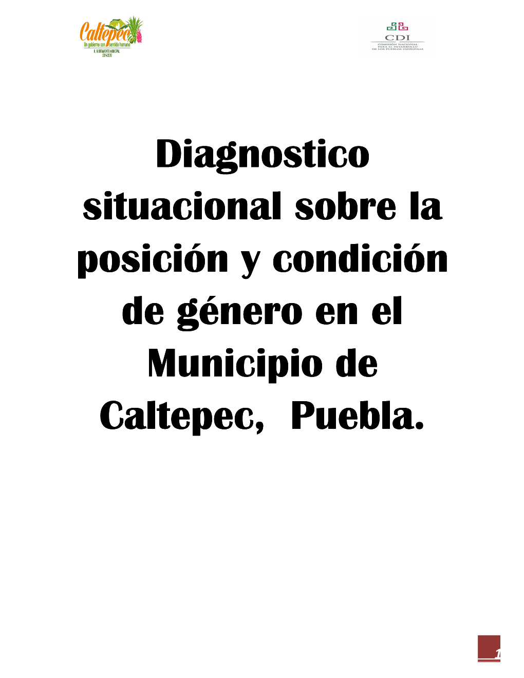 Diagnostico Situacional Sobre La Posición Y Condición De Género En El Municipio De Caltepec, Puebla