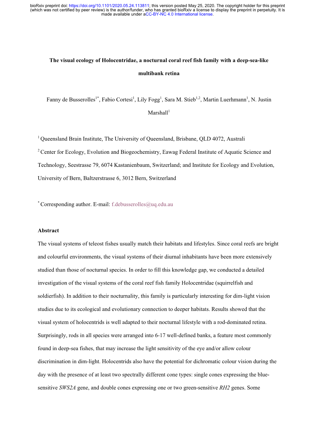 The Visual Ecology of Holocentridae, a Nocturnal Coral Reef Fish Family with a Deep-Sea-Like