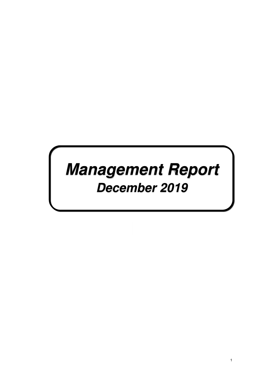 Management Report December 2019