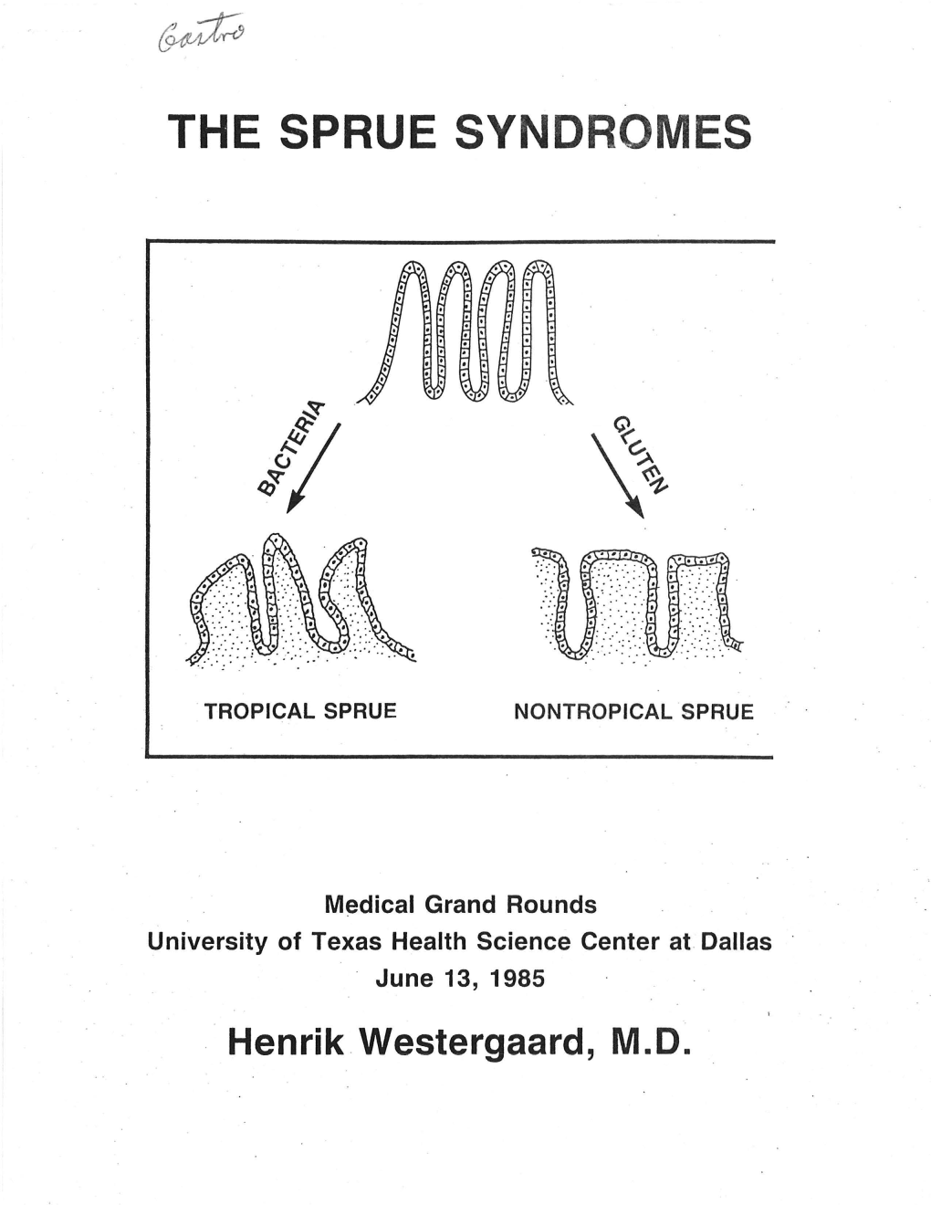The Sprue Syndromes