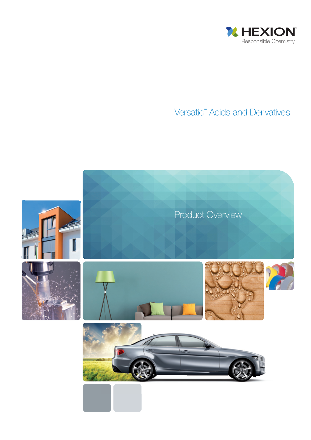 Versatic™ Acids and Derivatives Product Overview