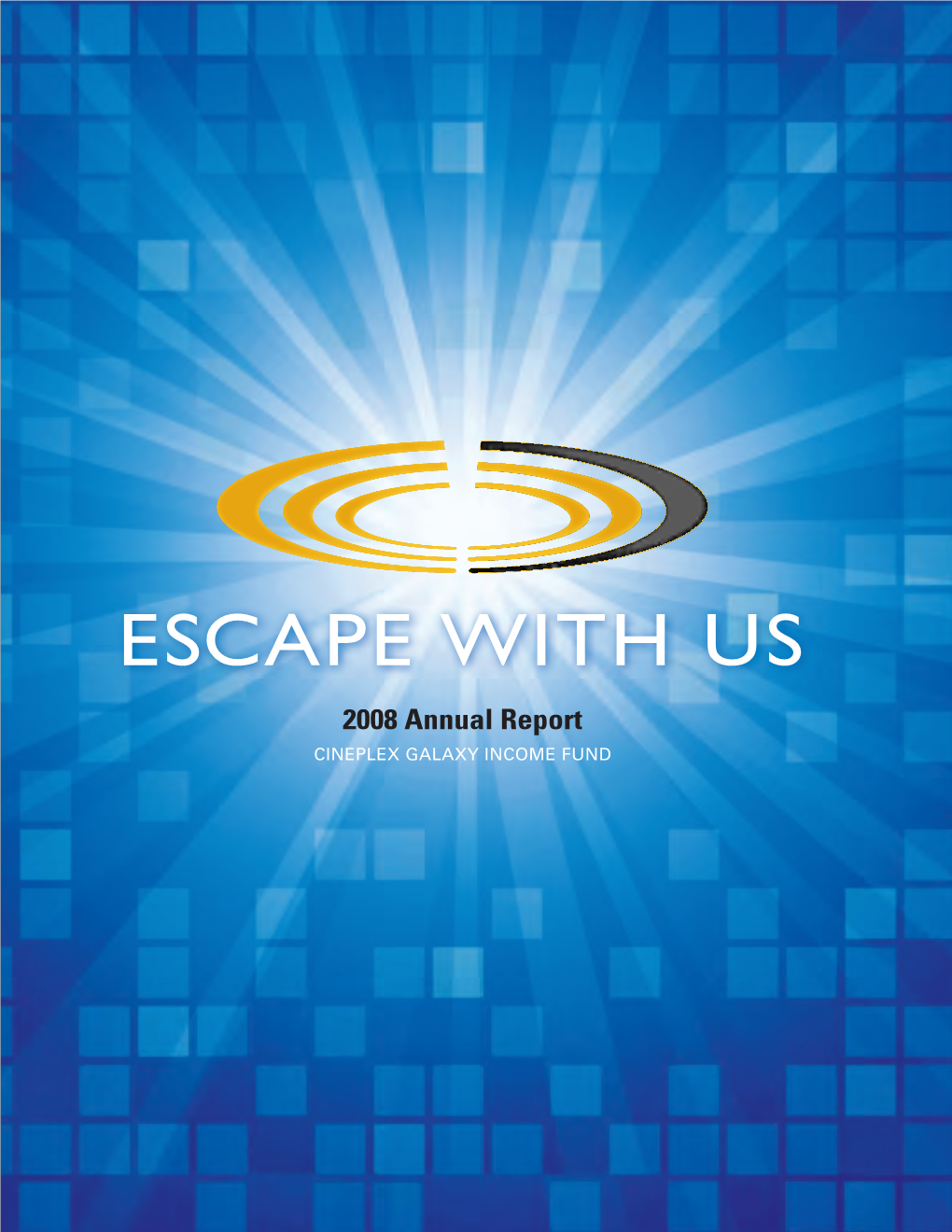 2008 Annual Report