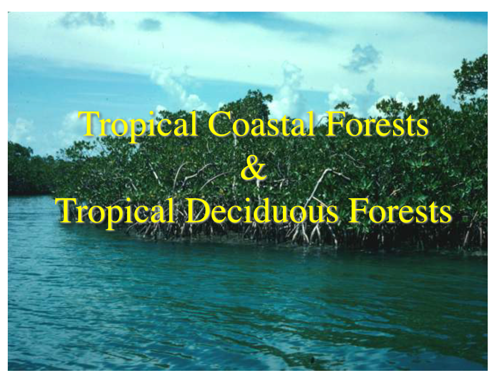 Tropical Coastal Forests & Tropical Deciduous Forests