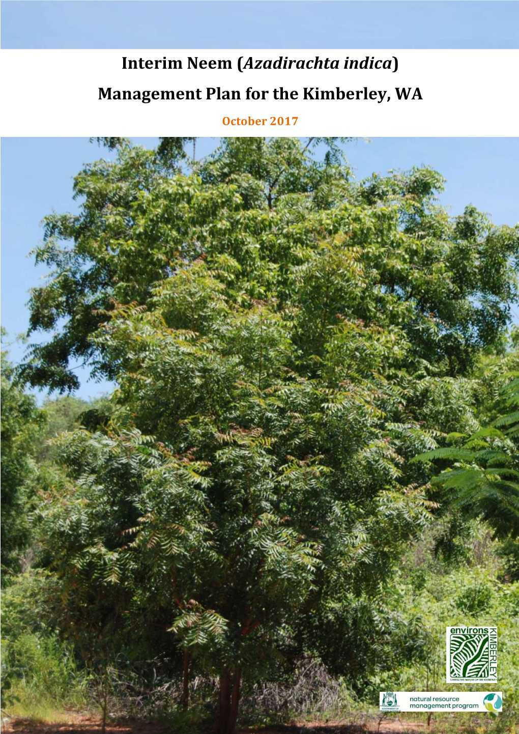 Interim Neem (Azadirachta Indica) Management Plan for the Kimberley