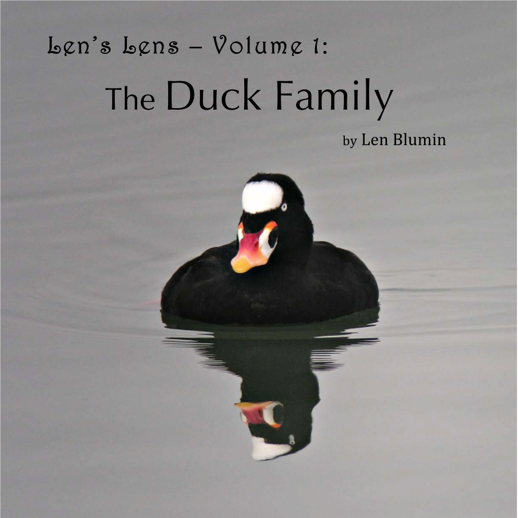 The Duck Family by Len Blumin