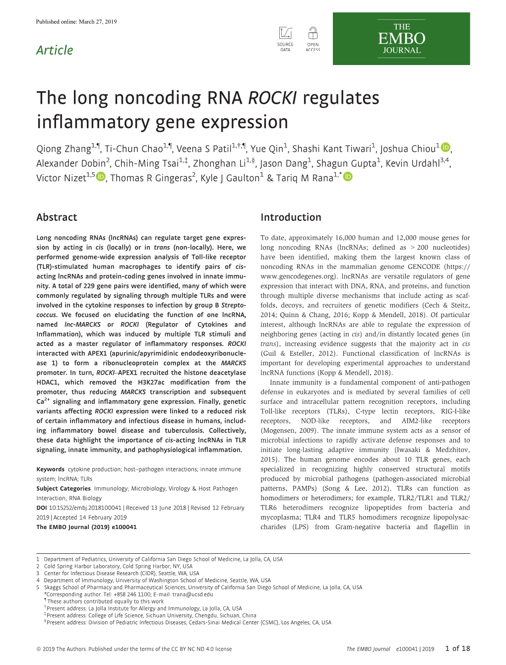 The Long Noncoding RNA ROCKI Regulates Inflammatory Gene Expression