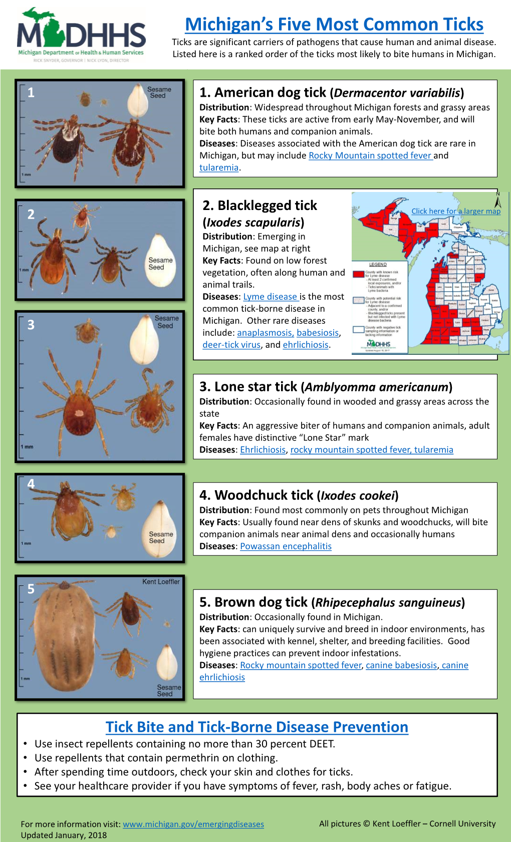 Michigan's Five Most Common Ticks