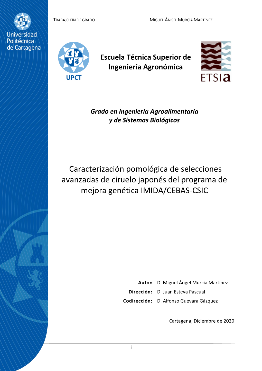 Caracterización Pomológica De Selecciones Avanzadas De Ciruelo Japonés Del Programa De Mejora Genética IMIDA/CEBAS-CSIC