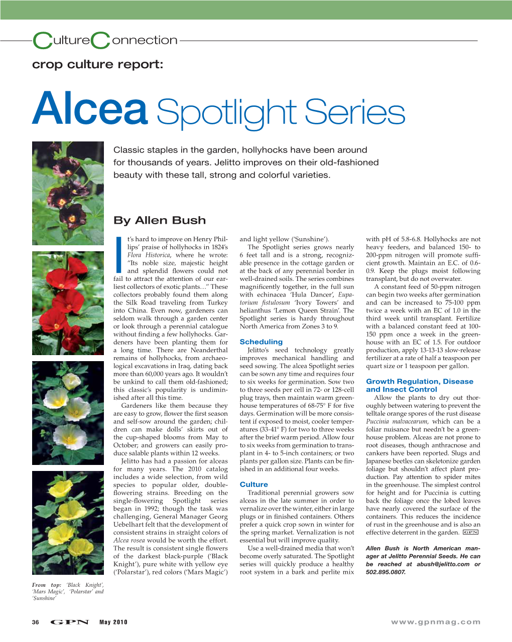 Alceaspotlight Series