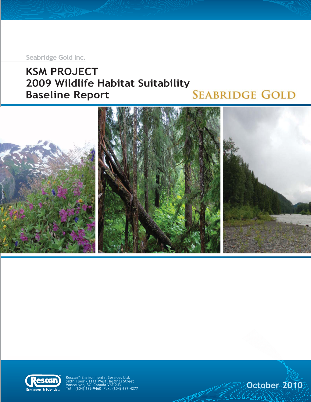 KSM PROJECT 2009 Wildlife Habitat Suitability Baseline Report