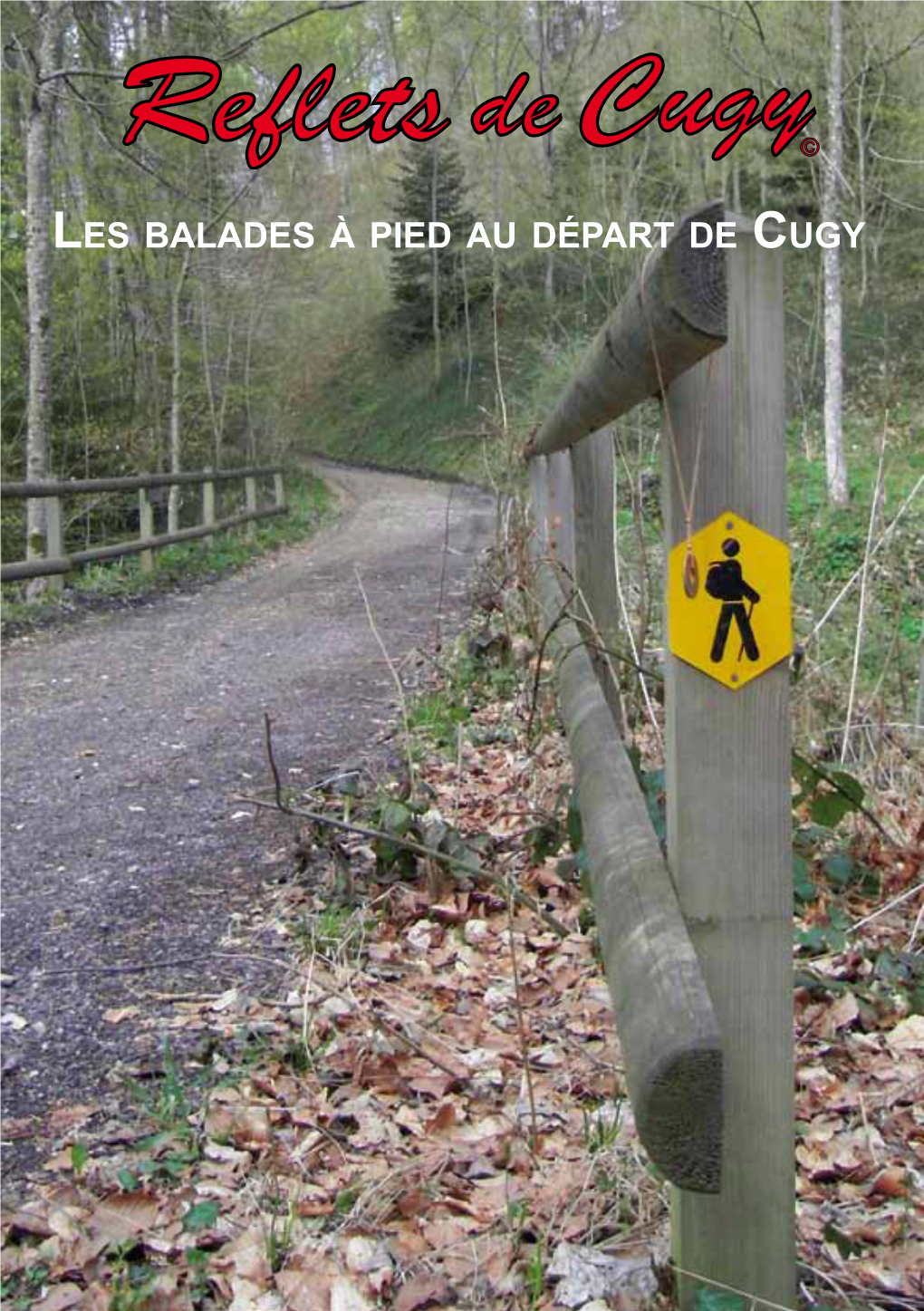 Les Balades À Pied Au Départ De Cugy 2