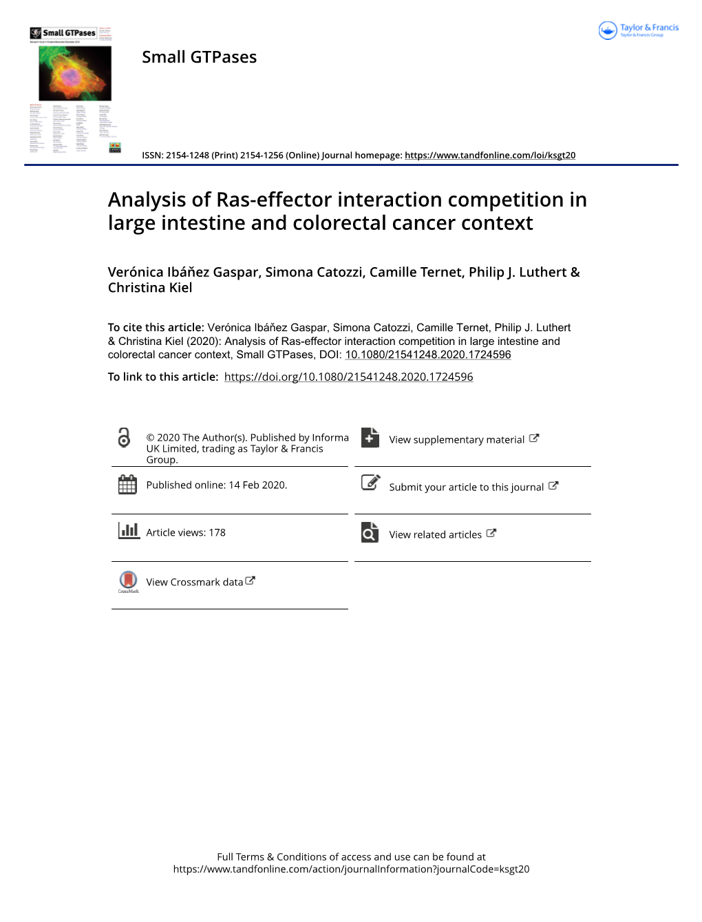 Analysis of Ras-Effector Interaction Competition in Large Intestine and Colorectal Cancer Context