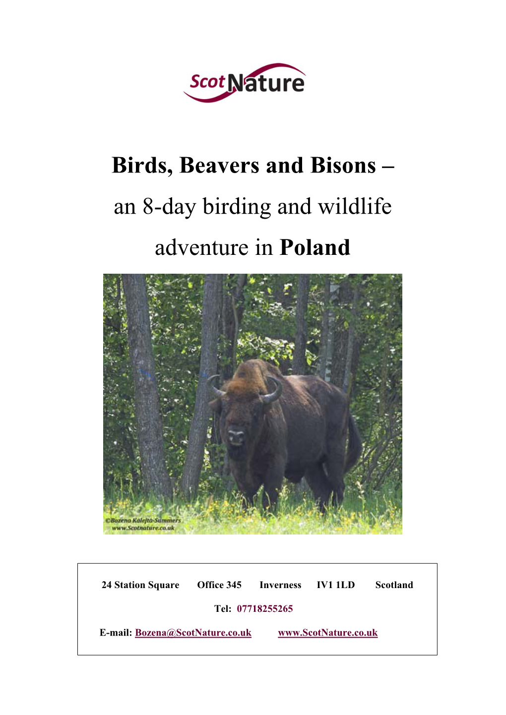 Birds, Beavers and Bisons – an 8-Day Birding and Wildlife Adventure In