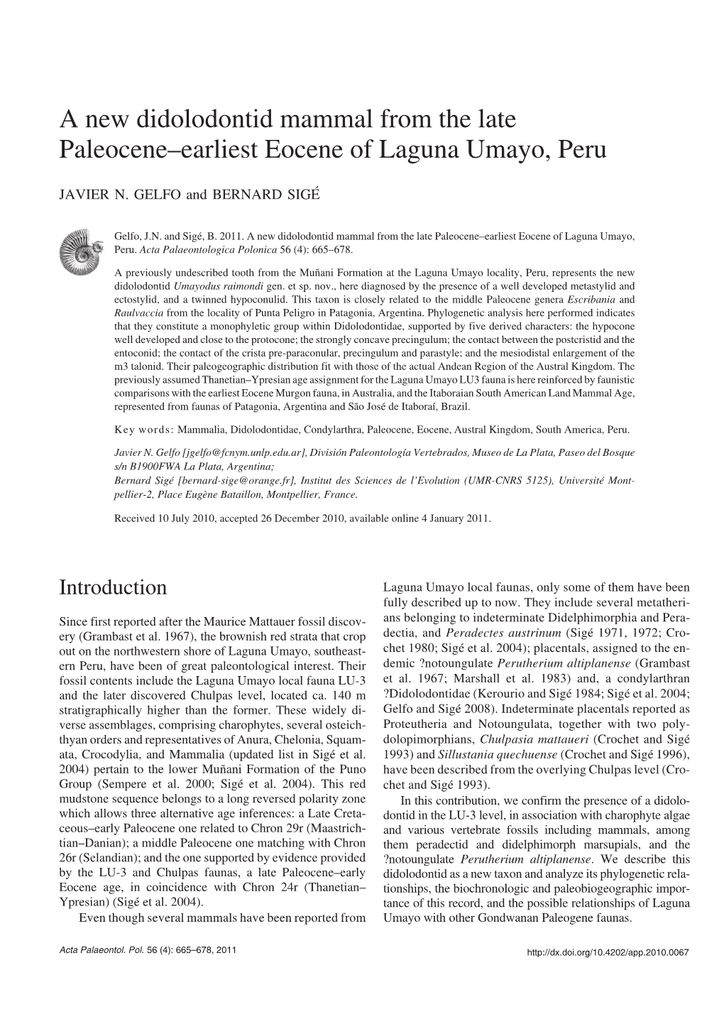 A New Didolodontid Mammal from the Late Paleocene–Earliest Eocene of Laguna Umayo, Peru