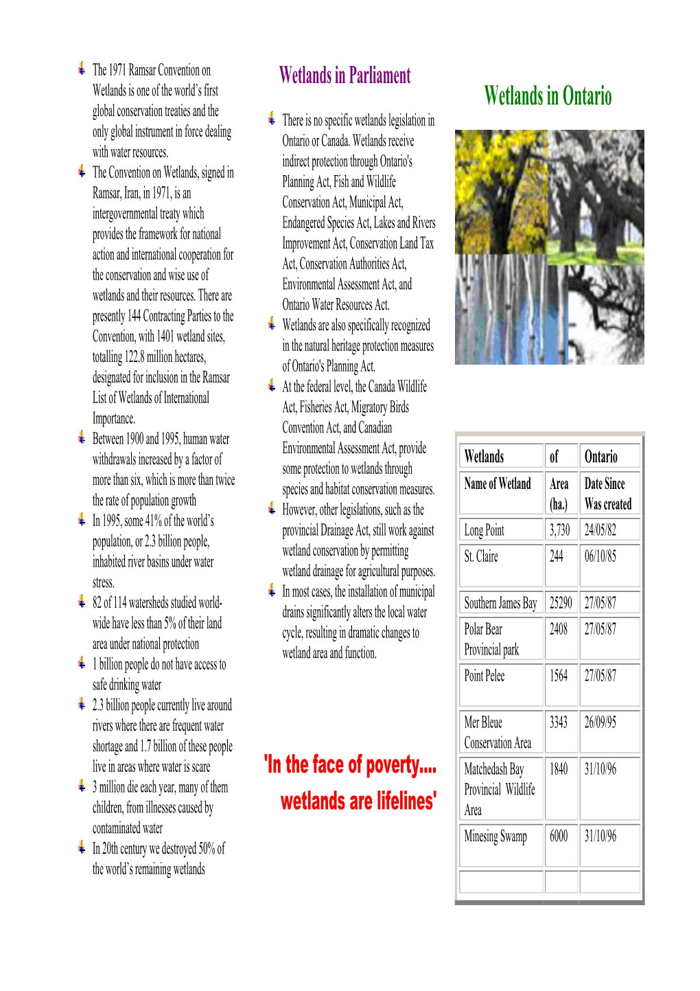 Wetlands in Ontario Global Conservation Treaties and the There Is No Specific Wetlands Legislation in Only Global Instrument in Force Dealing Ontario Or Canada