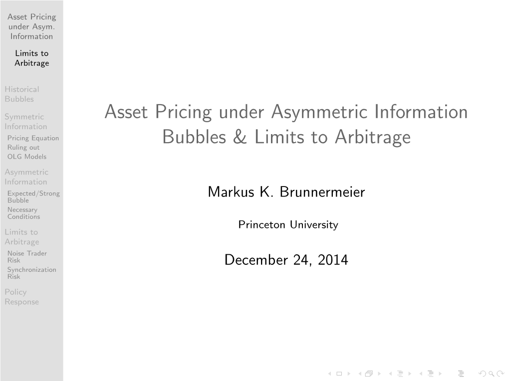 21 Limits to Arbitrage and Bubbles 1.Pdf