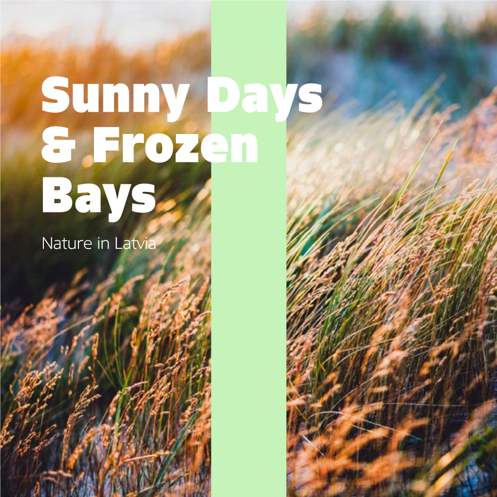 Sunny Days & Frozen Bays