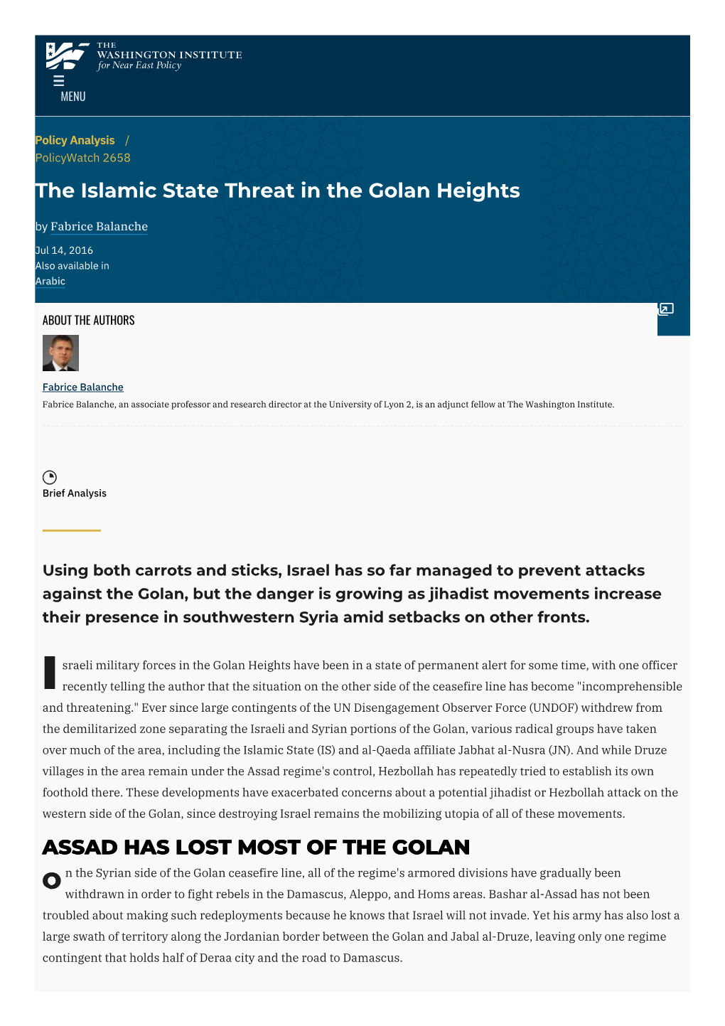 The Islamic State Threat in the Golan Heights | the Washington Institute