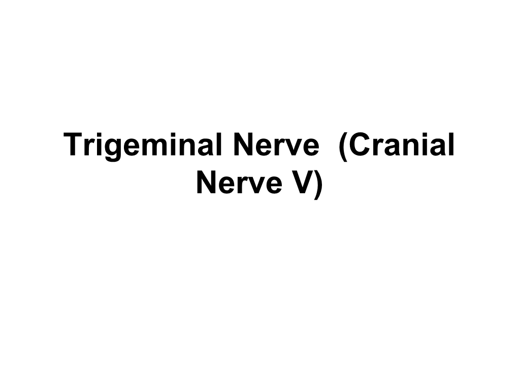 Trigeminal Nerve (Cranial Nerve V) the Trigeminal Nerve (Fifth Nerve) Is the Largest of the Cranial Nerves and Contains Both Sensory and Motor Fibres