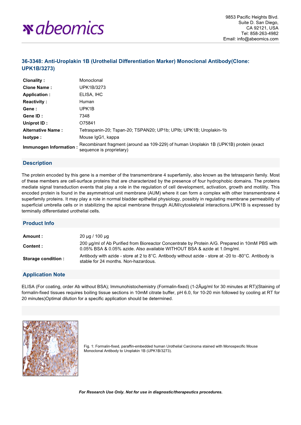 Monoclonal Antibody(Clone: UPK1B/3273)