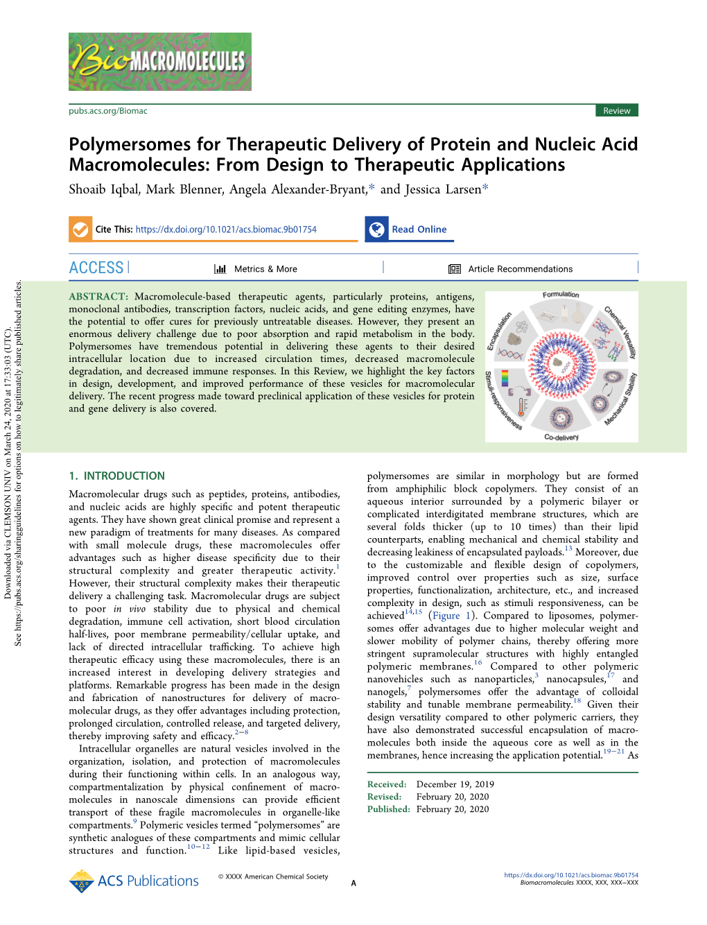 Polymersomes for Therapeutic Delivery of Protein