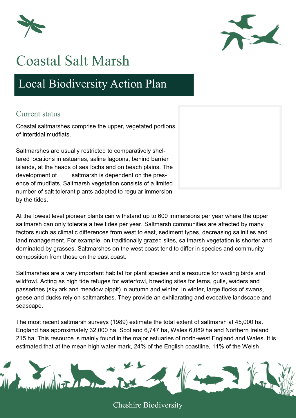 Coastal Salt Marsh Local Biodiversity Action Plan