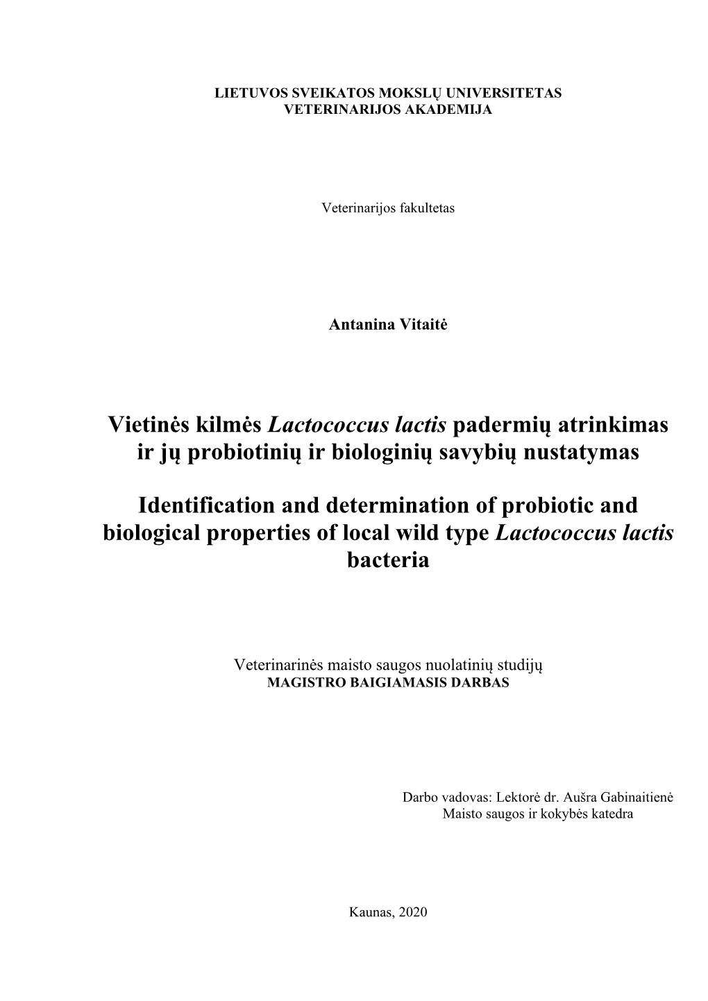 Vietinės Kilmės Lactococcus Lactis Padermių Atrinkimas Ir Jų Probiotinių Ir Biologinių Savybių Nustatymas