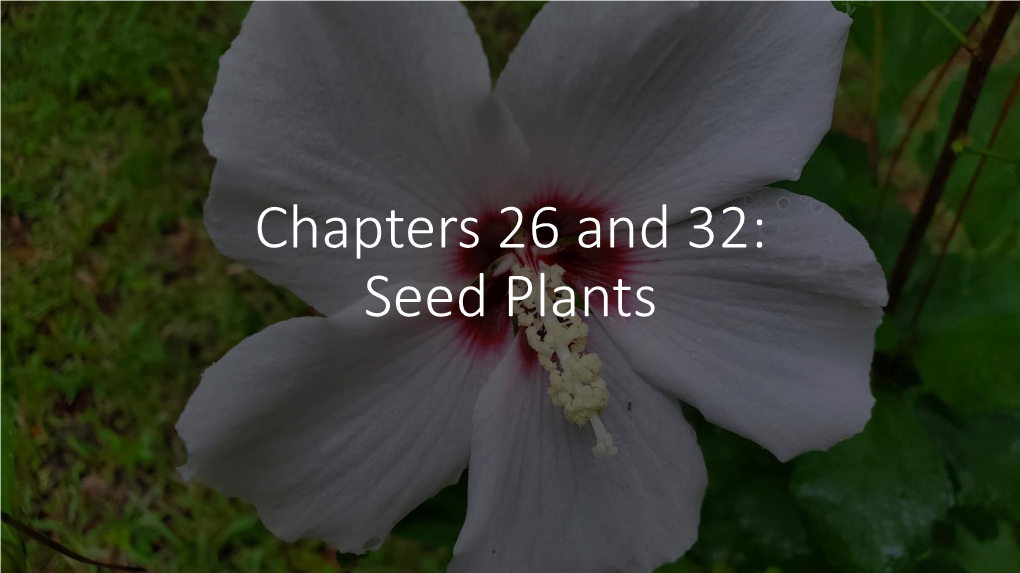 Seed Plants Key Concepts