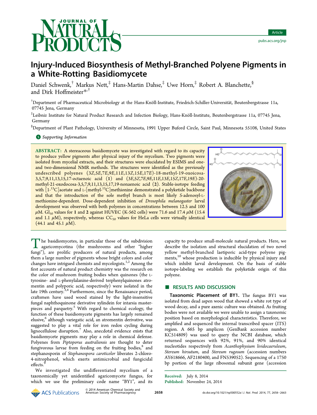 Injury-Induced Biosynthesis of Methyl-Branched Polyene Pigments