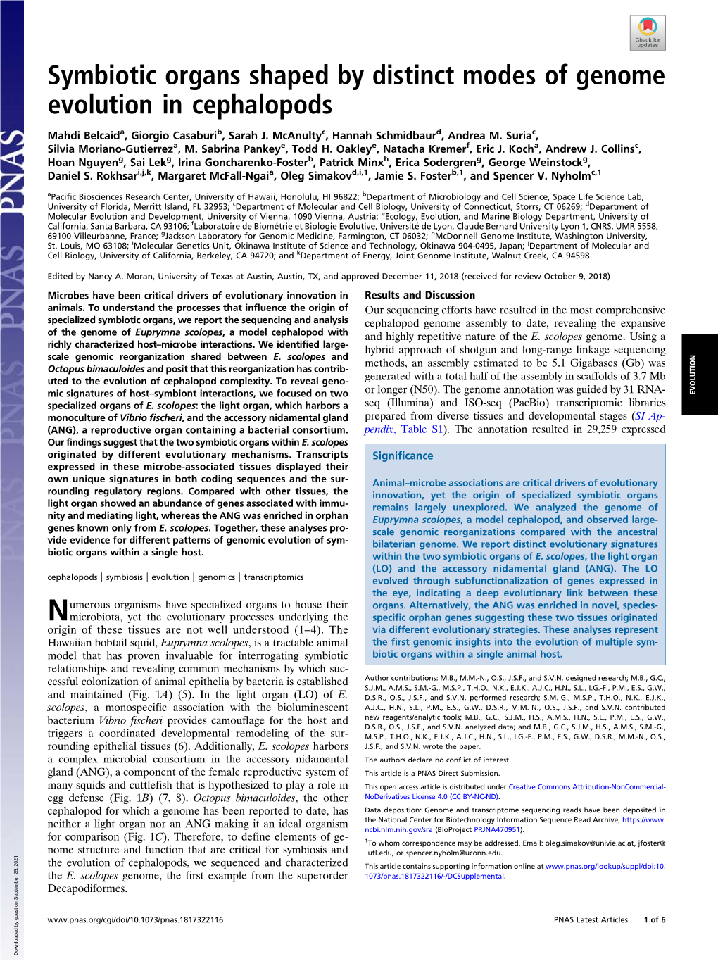 Symbiotic Organs Shaped by Distinct Modes of Genome Evolution in Cephalopods