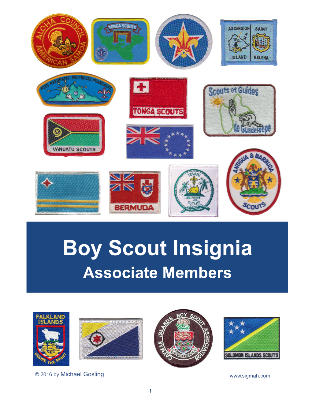 Boy Scout Insignia Boy Scout Insignia