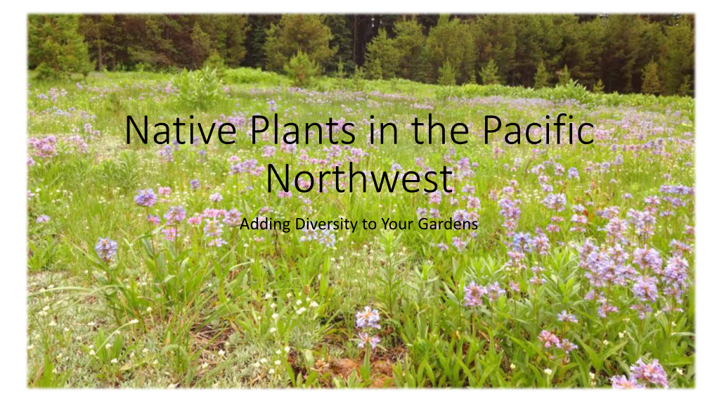 Native Plants in the Pacific Northwest Adding Diversity to Your Gardens Benefits of Native Plants