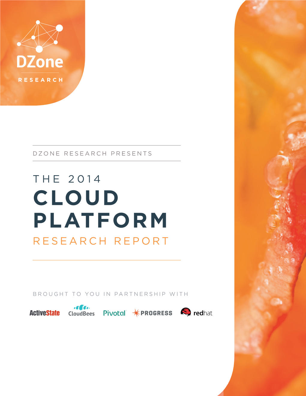 Cloud Platform Research Report
