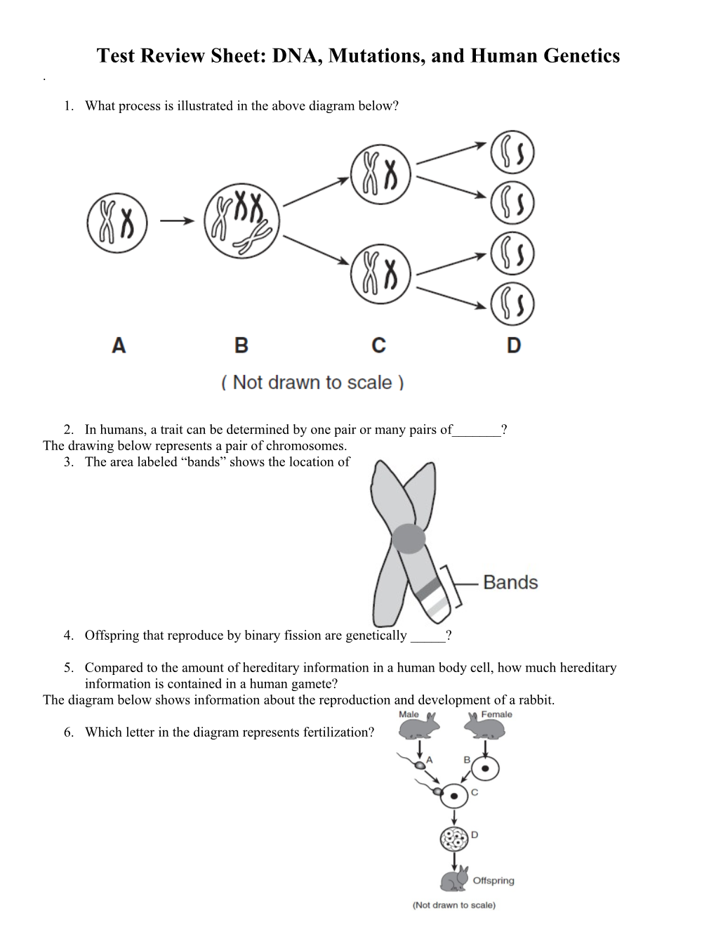 Test: Weather and Forecasting