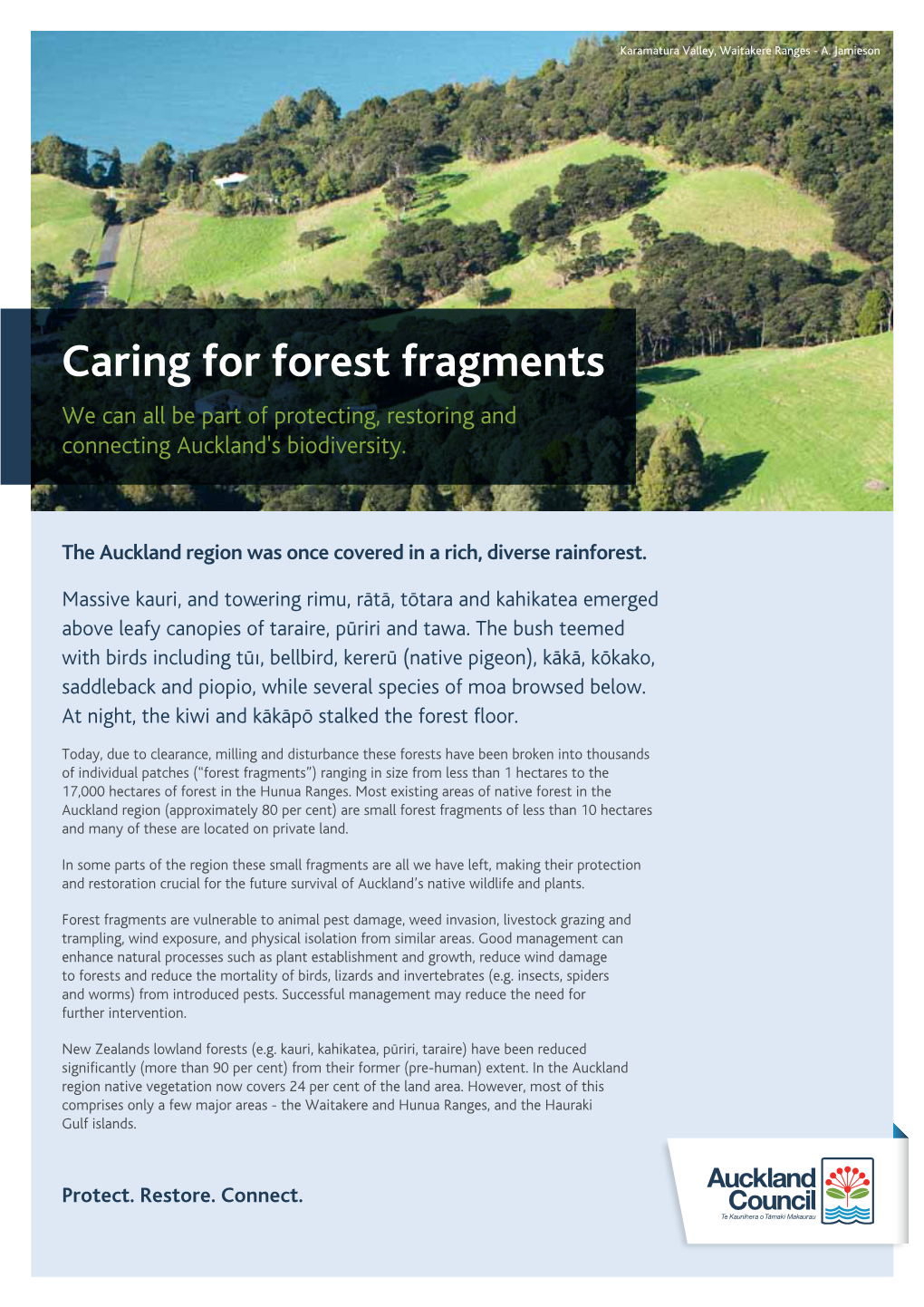 Caring for Forest Fragments We Can All Be Part of Protecting, Restoring and Connecting Auckland's Biodiversity