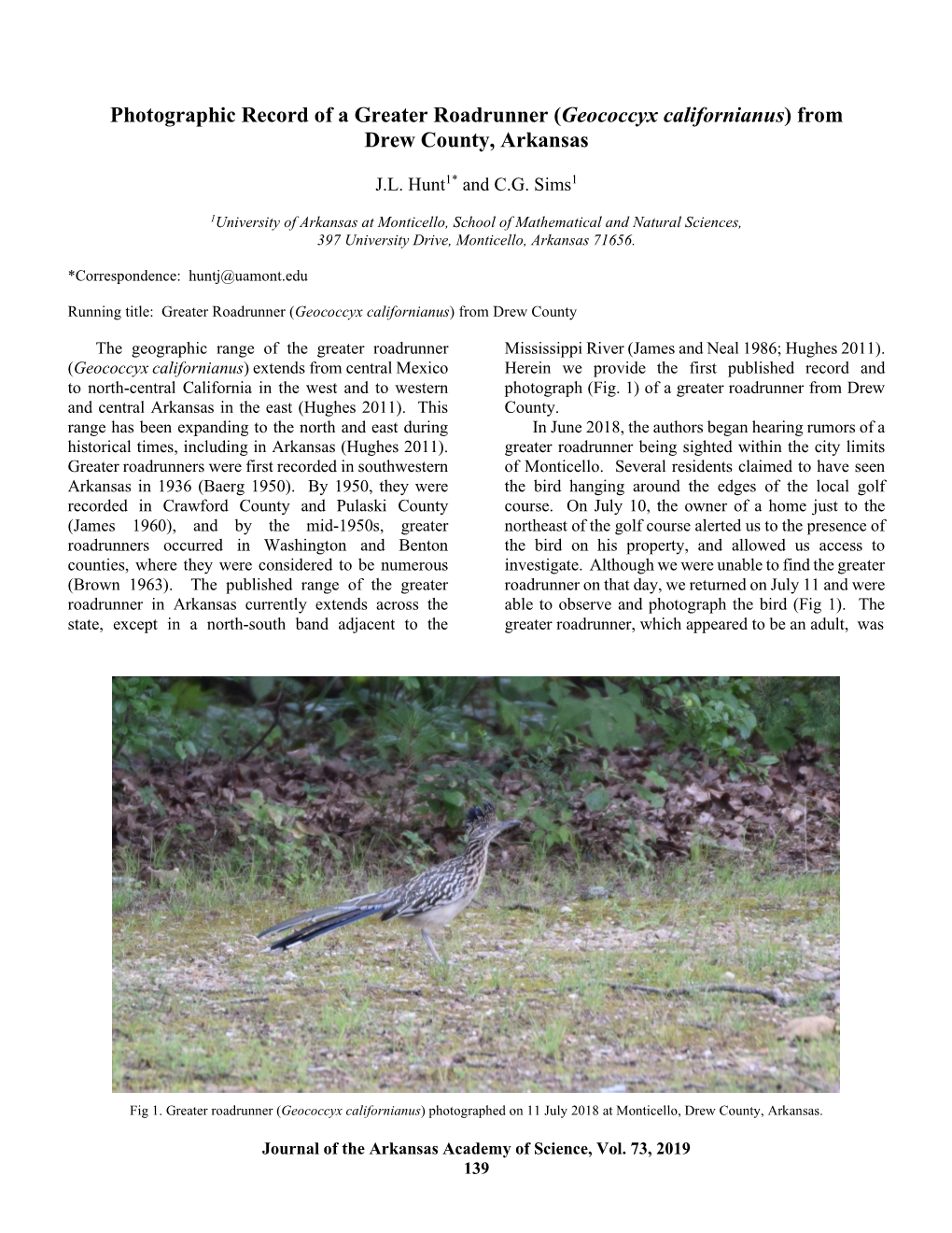 Photographic Record of a Greater Roadrunner (Geococcyx Californianus) from Drew County, Arkansas