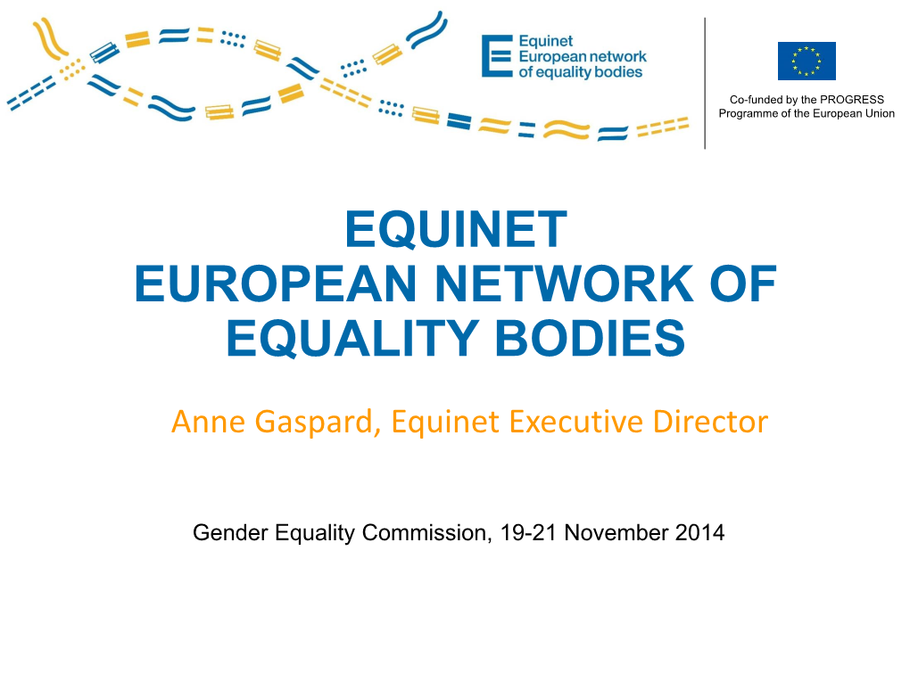 Equinet European Network of Equality Bodies