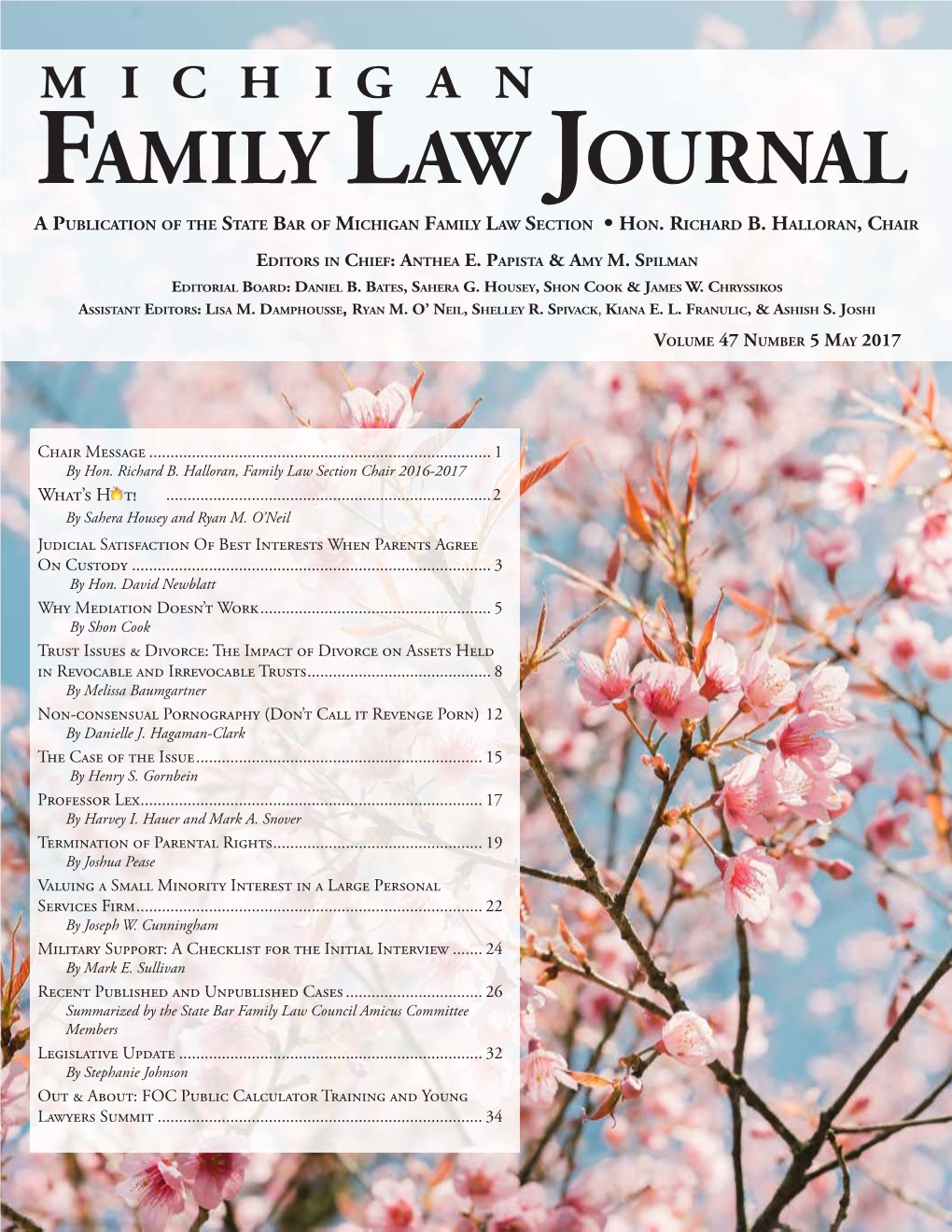 Michigan Family Law Journal