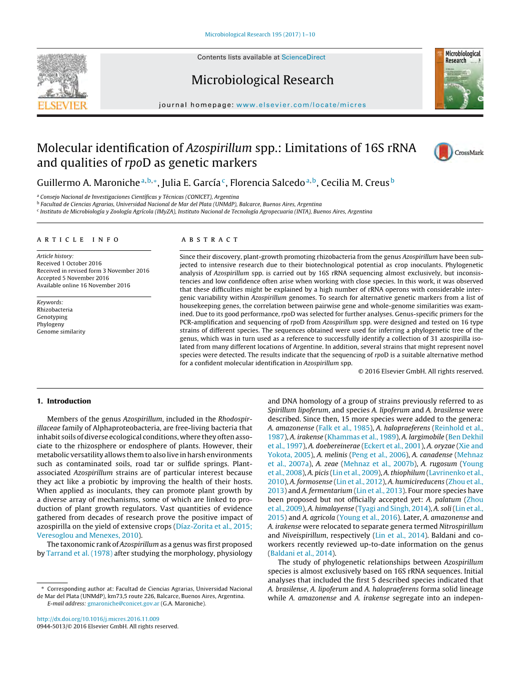 Molecular Identification of Azospirillum Spp