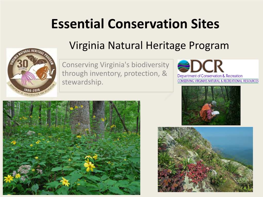 Essential Conservation Sites Virginia Natural Heritage Program