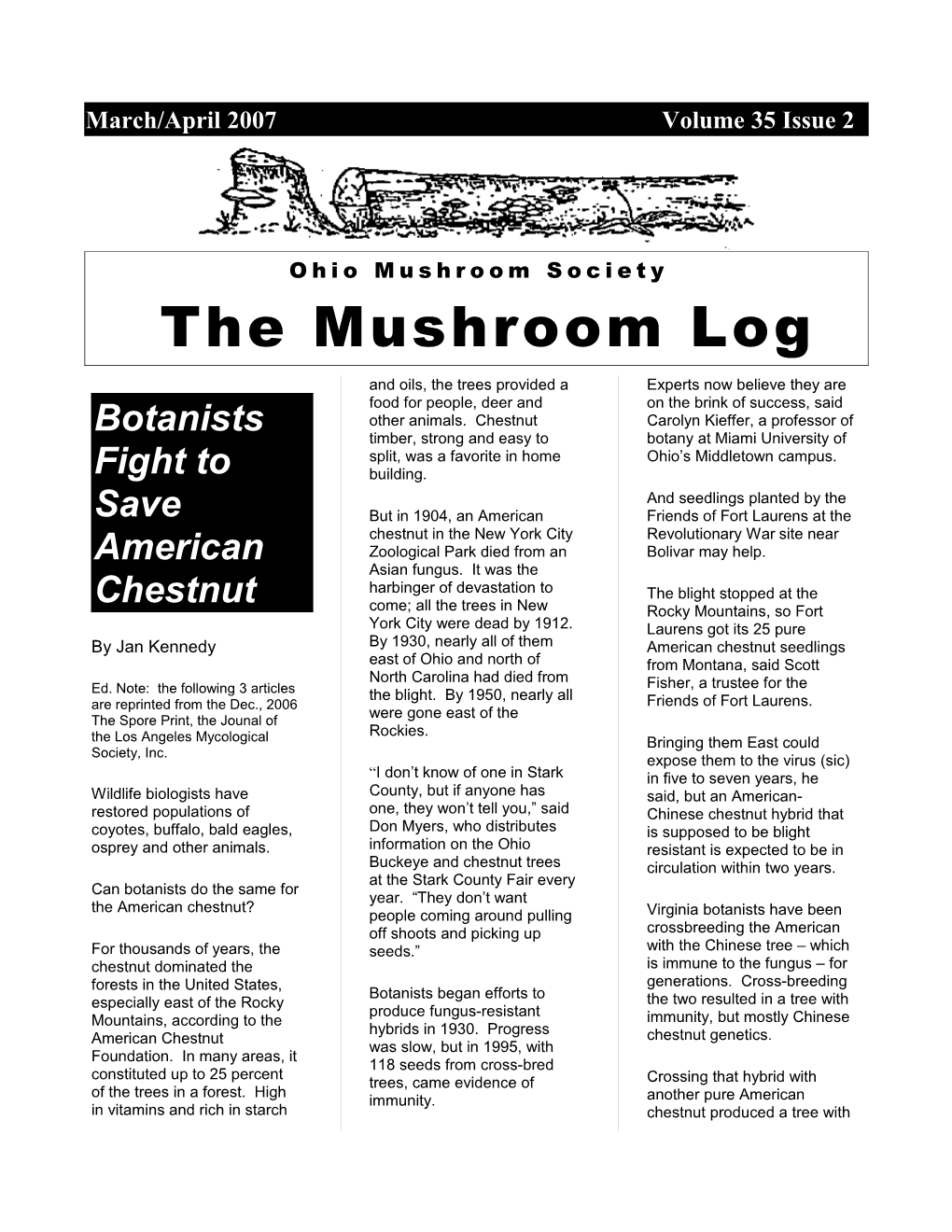 11 the Mushroom Log