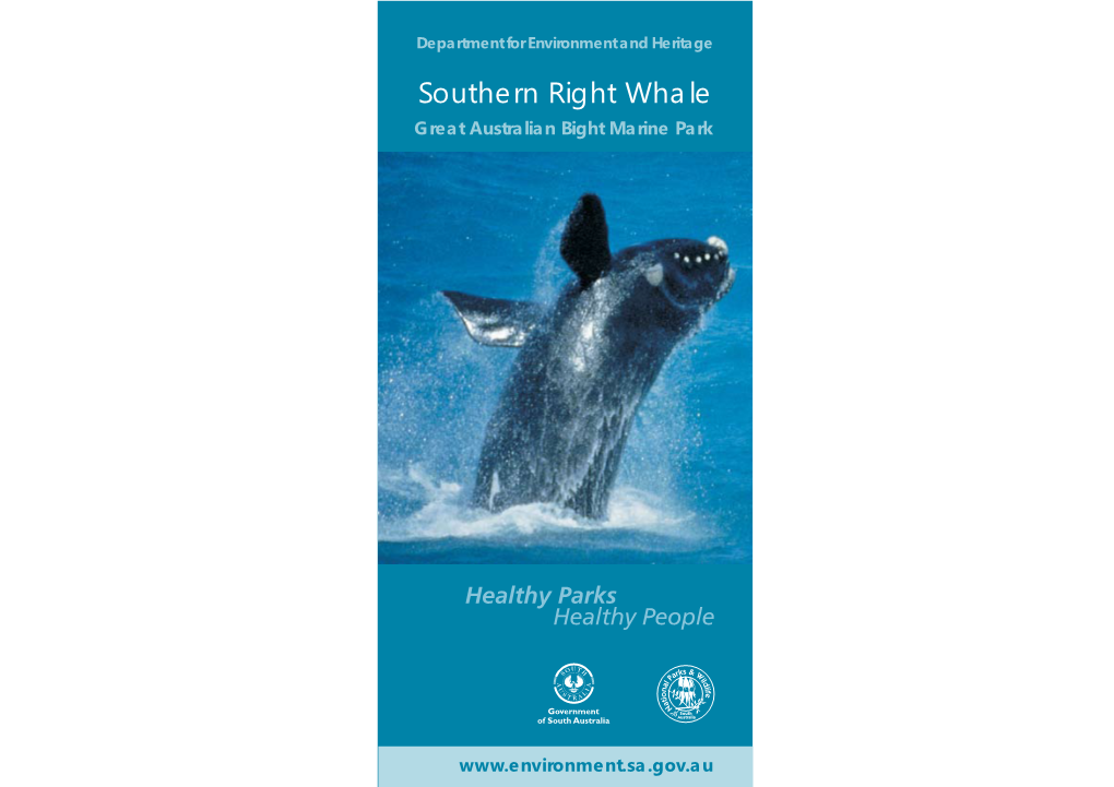 Southern Right Whales in the Great Australian Bight Marine Park Brochure
