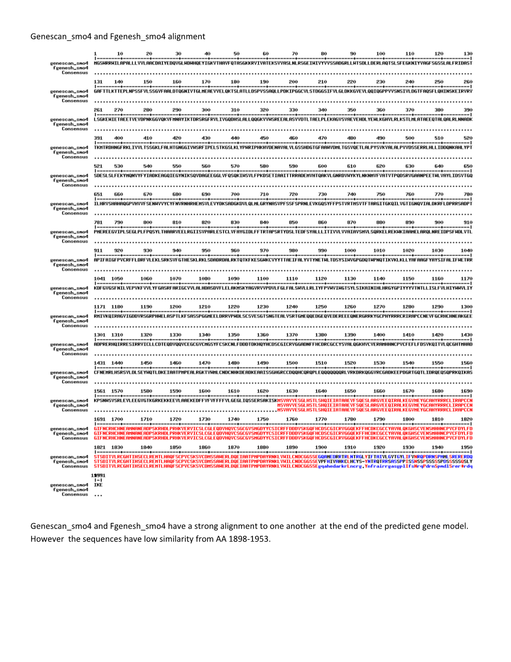 Genescan Smo4 and Fgenesh Smo4 Alignment