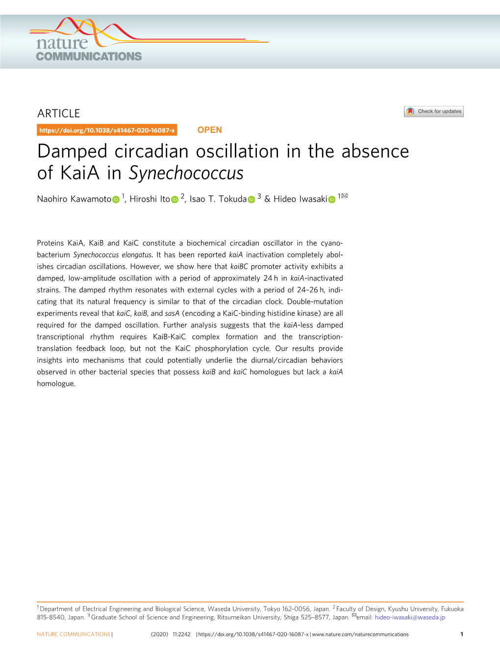 Damped Circadian Oscillation in the Absence of Kaia in Synechococcus ✉ Naohiro Kawamoto 1, Hiroshi Ito 2, Isao T