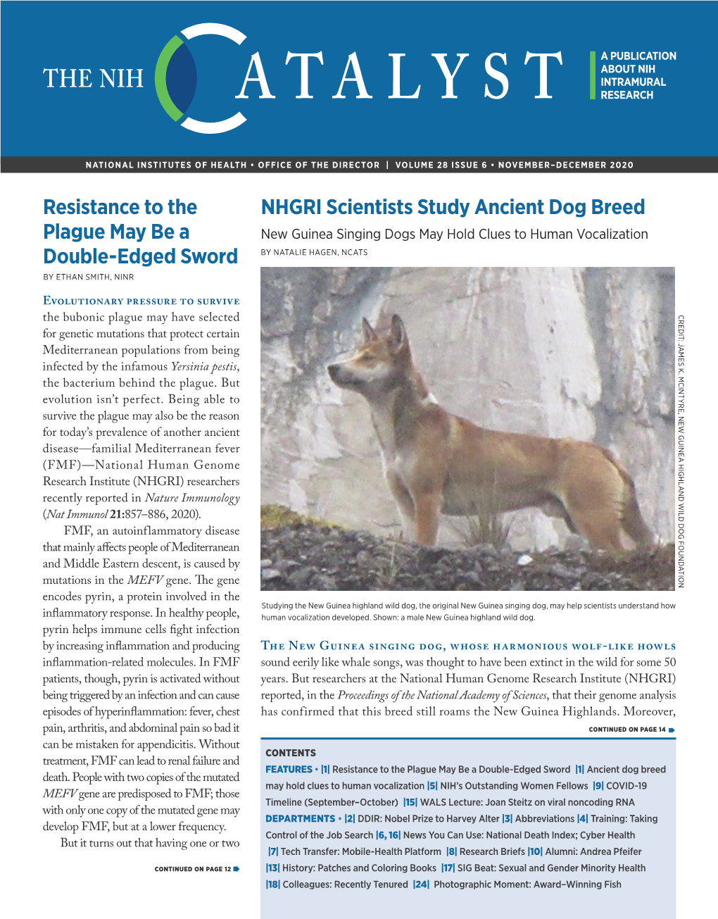 NHGRI Scientists Study Ancient Dog Breed