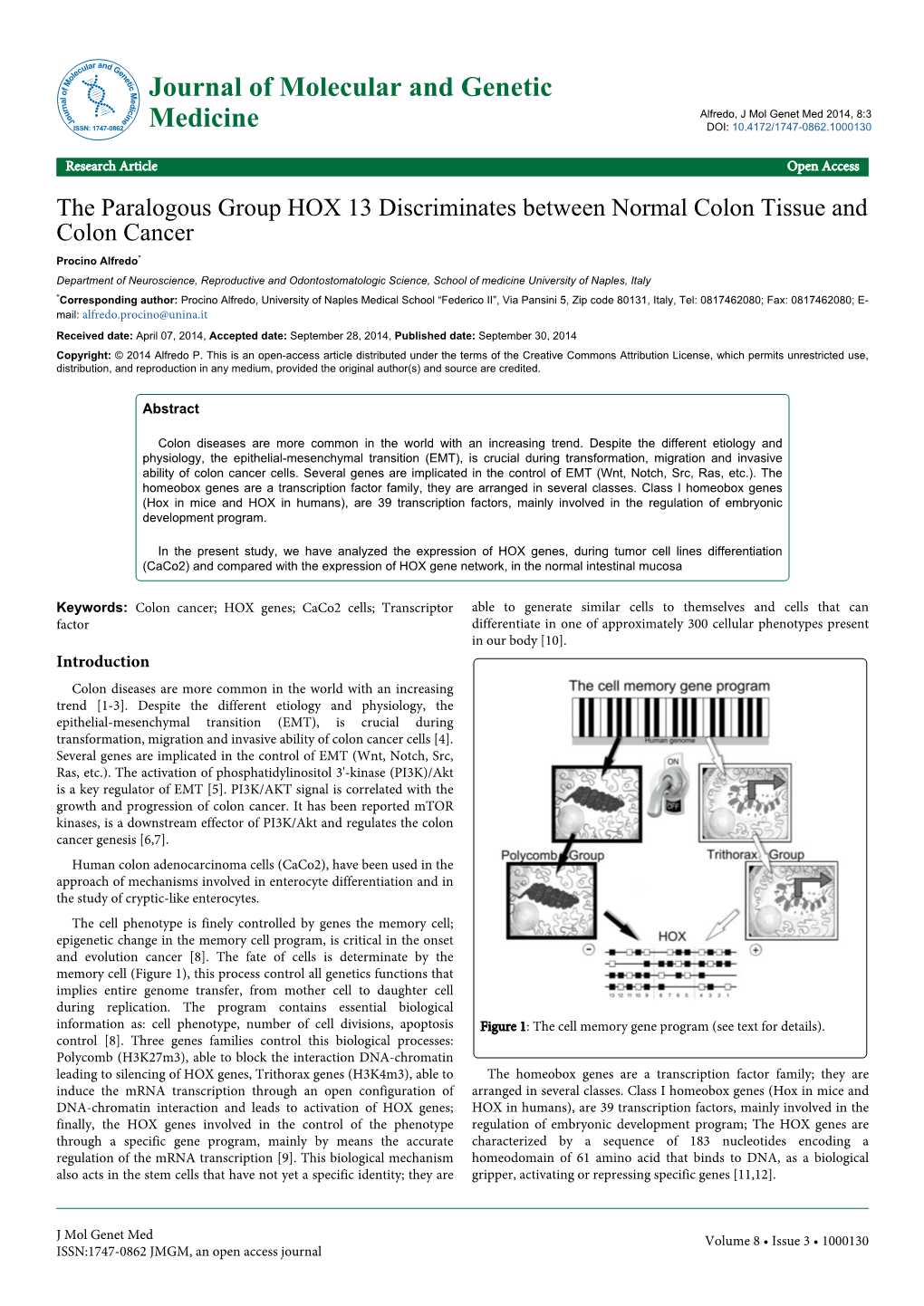 The Paralogous Group HOX 13 Discriminates Between Normal