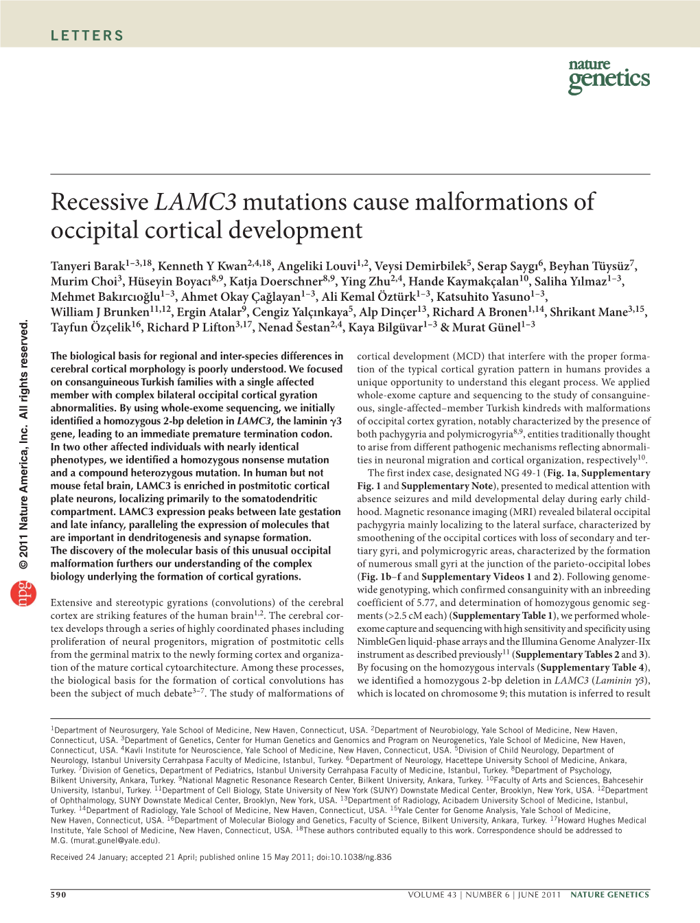 Recessive LAMC3 Mutations Cause Malformations of Occipital Cortical Development