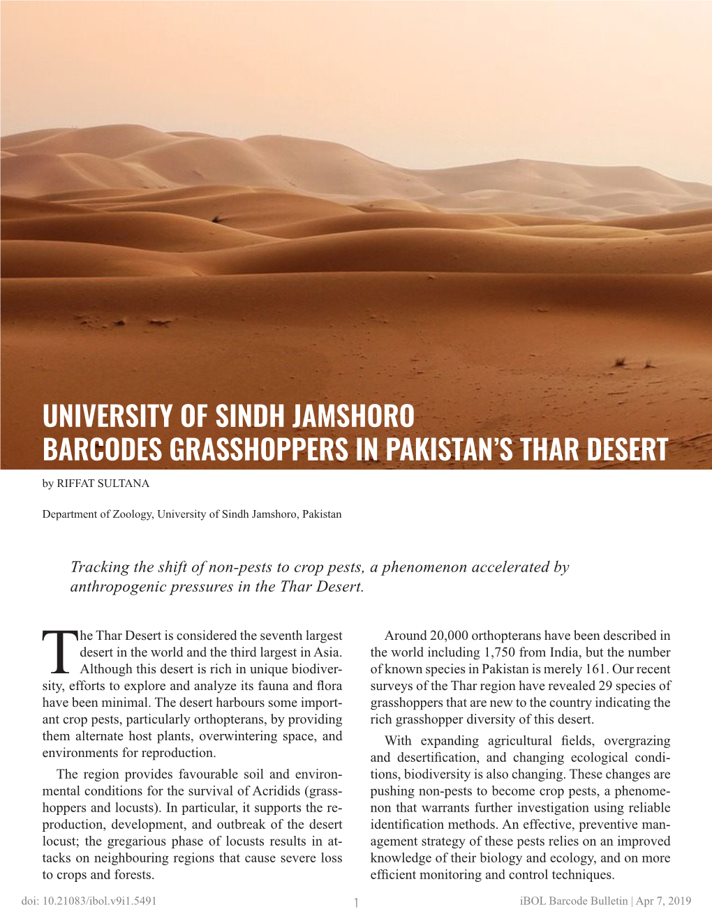 University of Sindh Jamshoro Barcodes Grasshoppers in Pakistan's Thar Desert